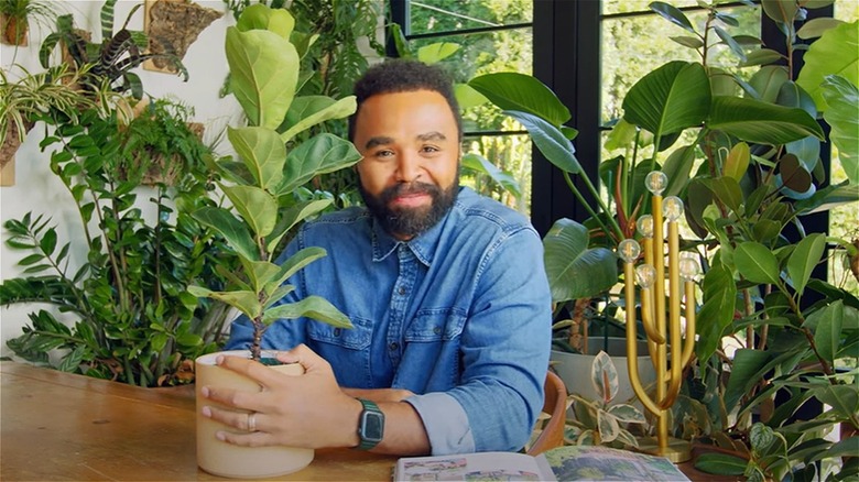 Carter with potted fiddle leaf