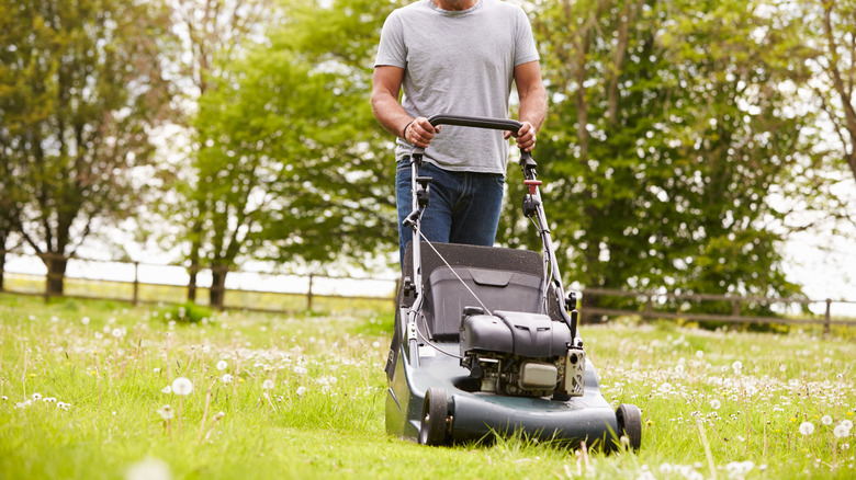 man cutting grass lawn mower