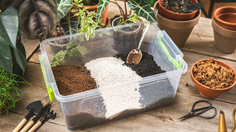 plastic tub filled with various soils