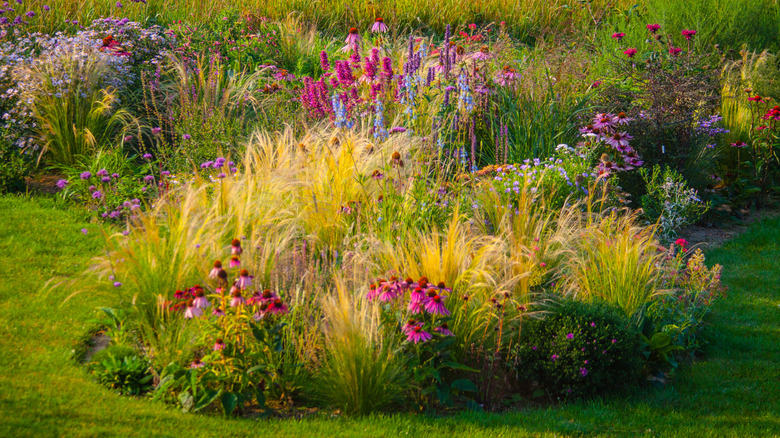 A landscaped space with many types of flowers and ornamental grasses.