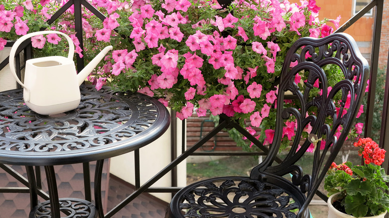 Petunias and geraniums