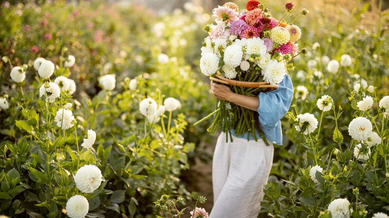 woman carrying fresh cut flowers