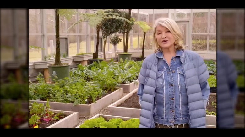 Martha Stewart in her greenhouse