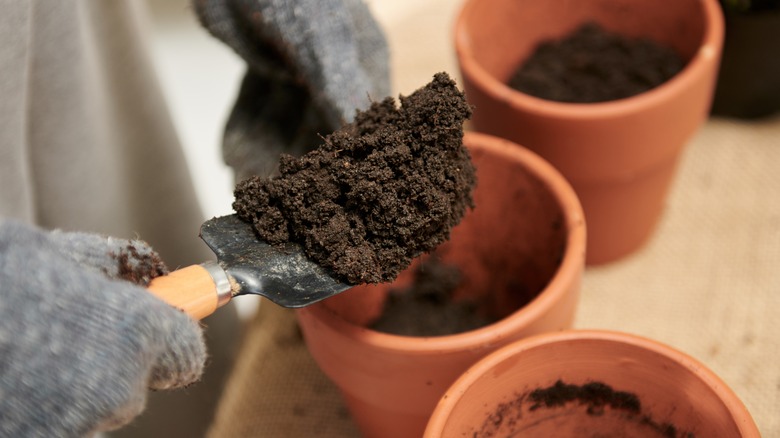 Placing soil into a pot