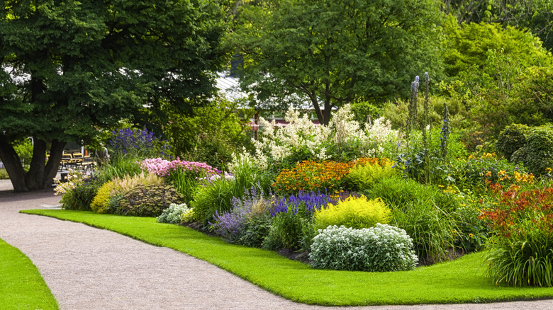 Colorful garden