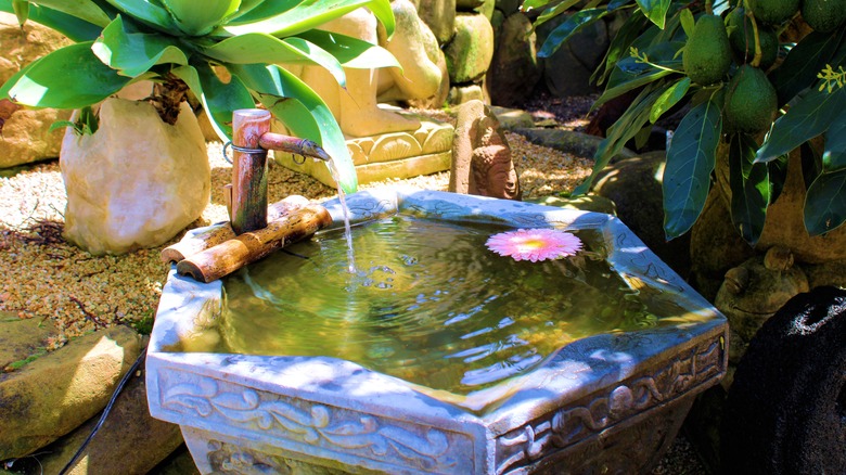 garden with Zen water fountain