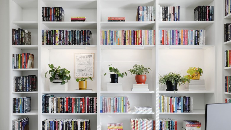 Plants and books on a large bookshelf