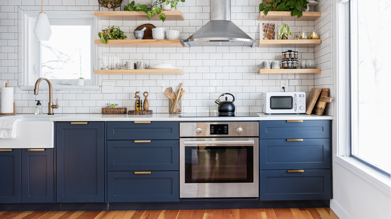 Modern kitchen with blue cabinetry