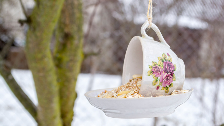 teacup and saucer bird feeder