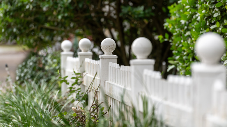 white picket fence with round fence post caps surrounded by greenery