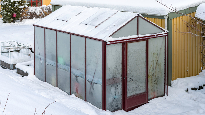 A glass greenhouse is covered in snow in a yard