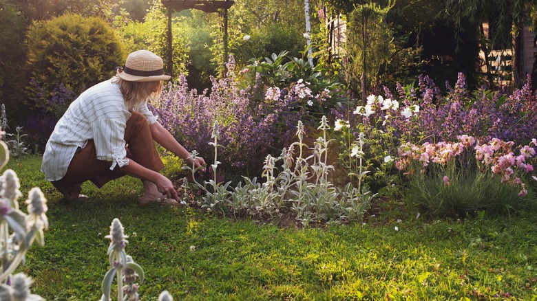 Woman working in garden