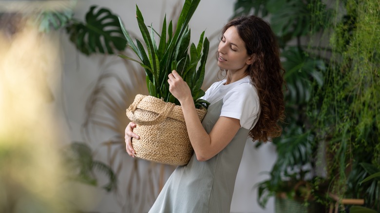 Person carrying potted plant