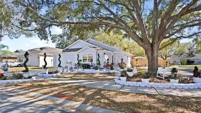 front yard garden view