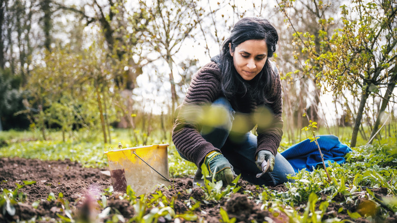 A dark-haired woman works on her garden soil on a chilly day.