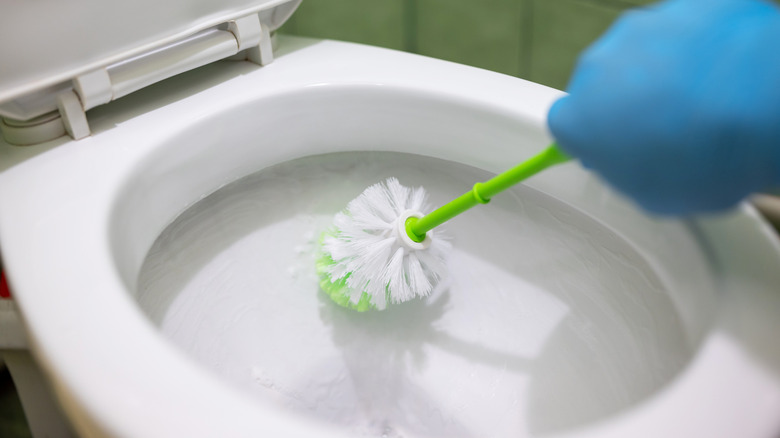 Person washing a toilet with box rim flushing system with a toilet brush