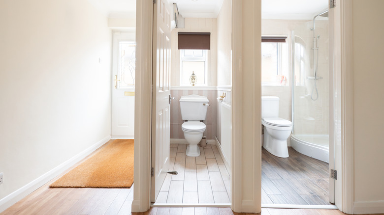 Two different toilets in two different rooms