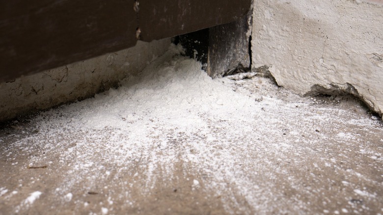 insecticide powder on wall nooks