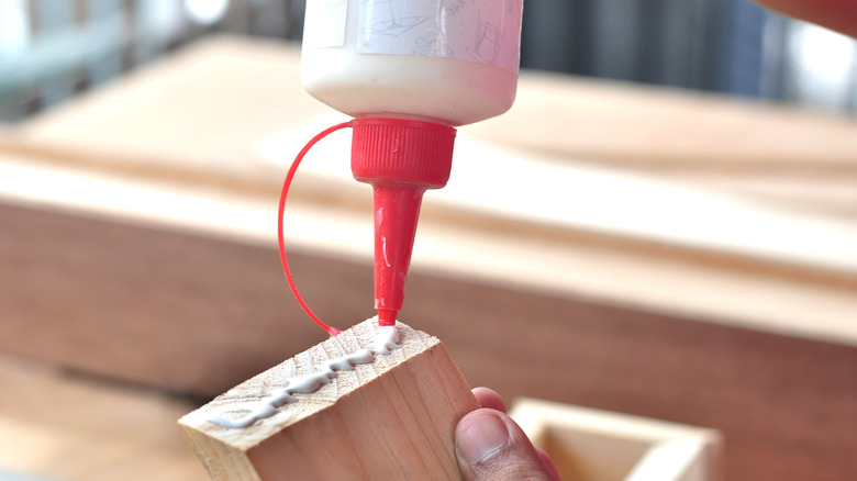 applying glue to wood board