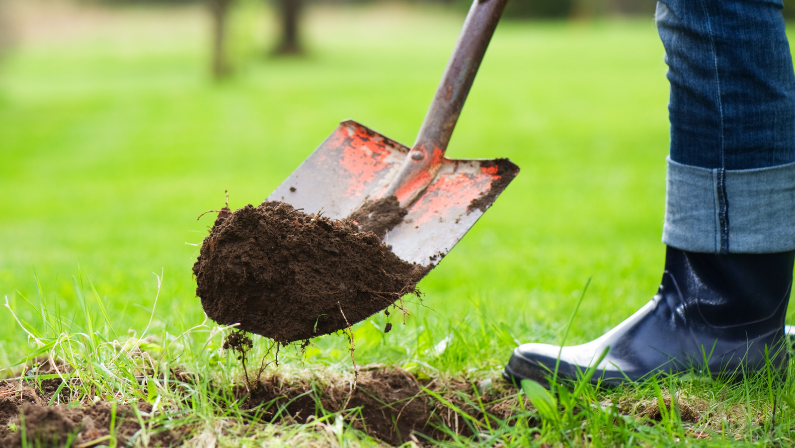 The TikTok Garden Digging Rule You Should Remember After A Rainy Day