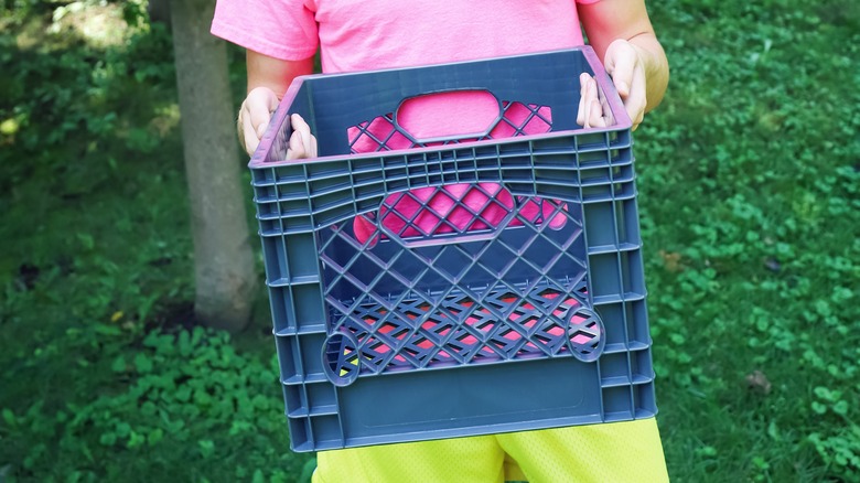 boy holding plastic crate 