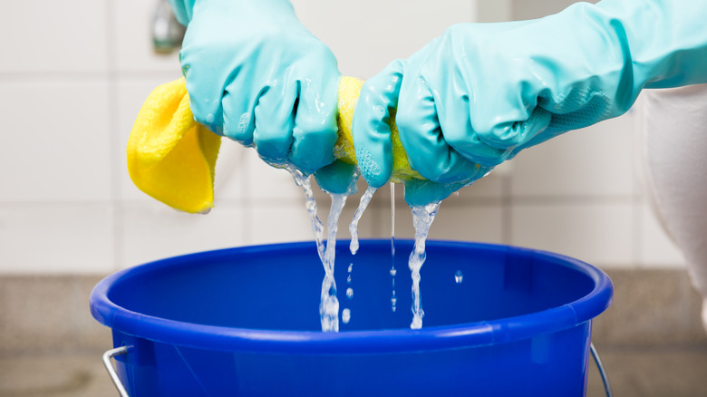 squeezing cloth into bucket