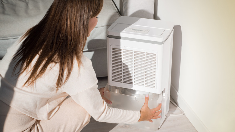 woman with dehumidifier 