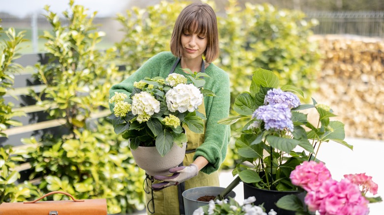 woman holding potted flowers