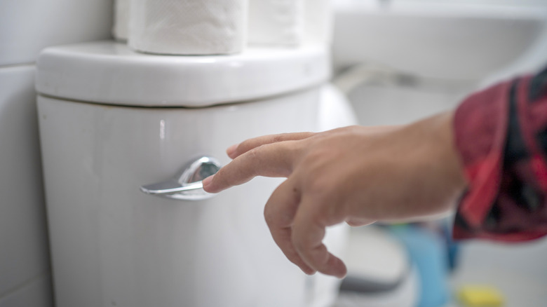 A person flushing a toilet