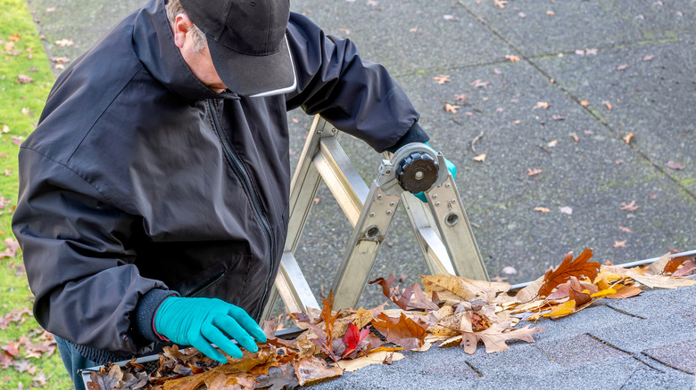 person removing leaves from gutters