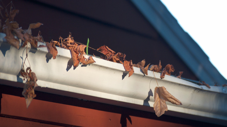 A gutter with leaves and other debris