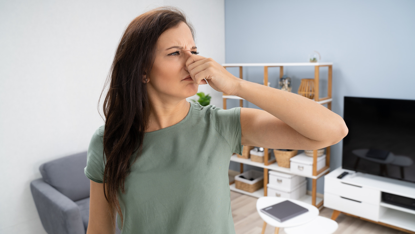 10 Best Odor Eliminators of 2024