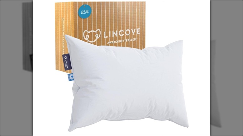 Lincove pillow with box