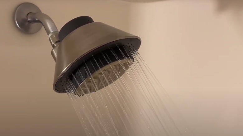 Kohler showerhead with audio speaker