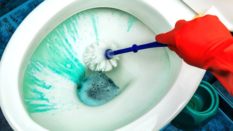 https://www.housedigest.com/img/gallery/the-top-5-best-toilet-cleaners-to-keep-your-bowl-sparkling-clean/intro-1695586605.jpg