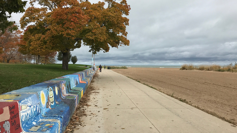 Chicago murals