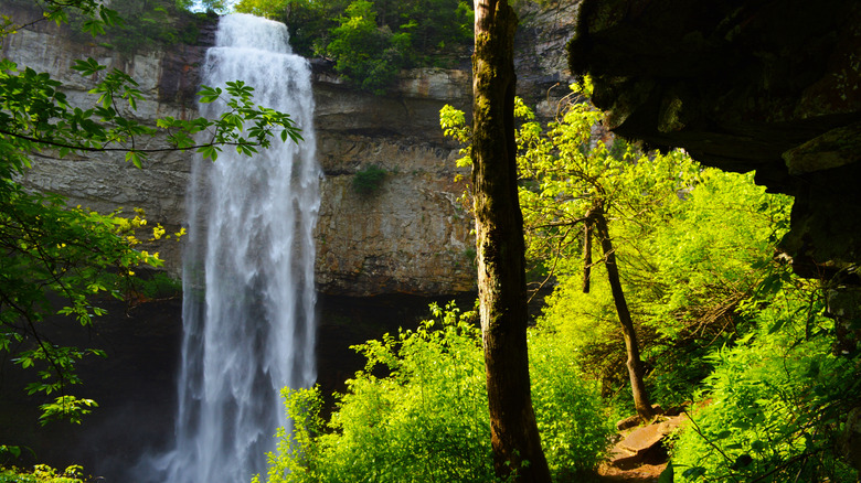 Fall Creek Falls tall waterfall