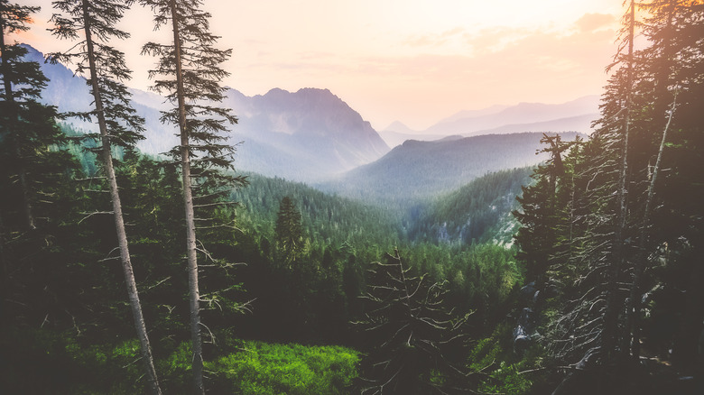 distant view of Mount Rainier