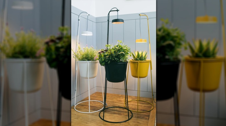 Planters with built-in grown lights