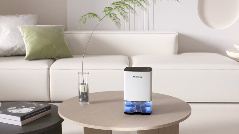 Small white dehumidifier sitting on a table