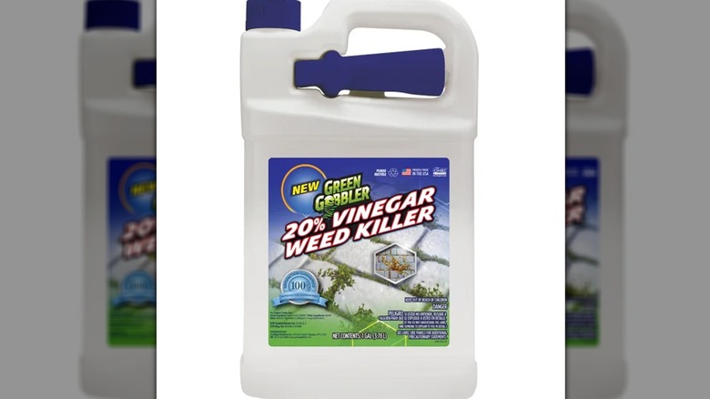 Vinegar-based weed killing solution