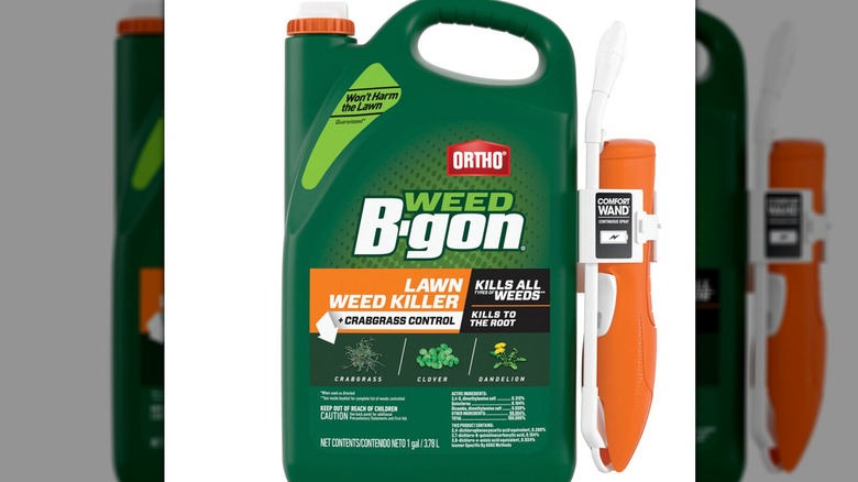 Weed control solution with wand