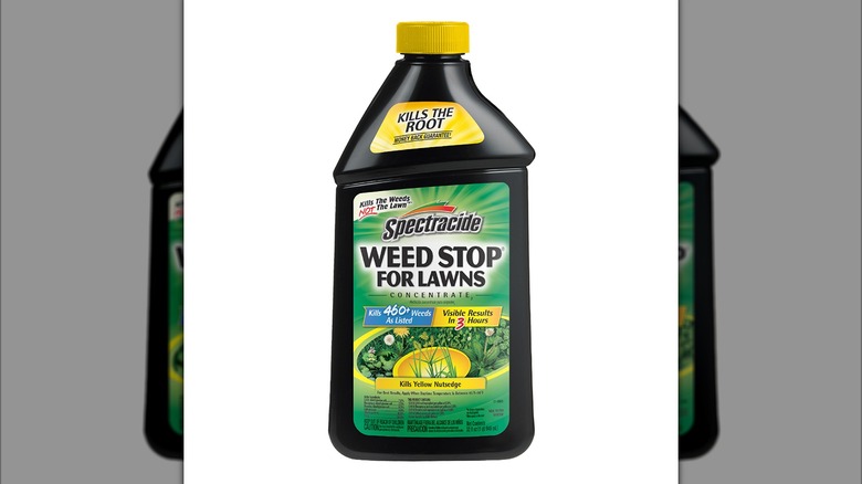 Weed control solution