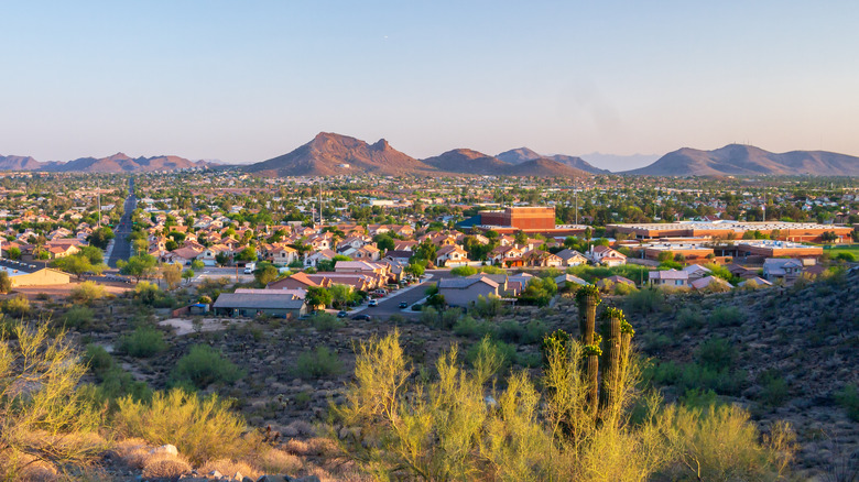 Northern Phoenix