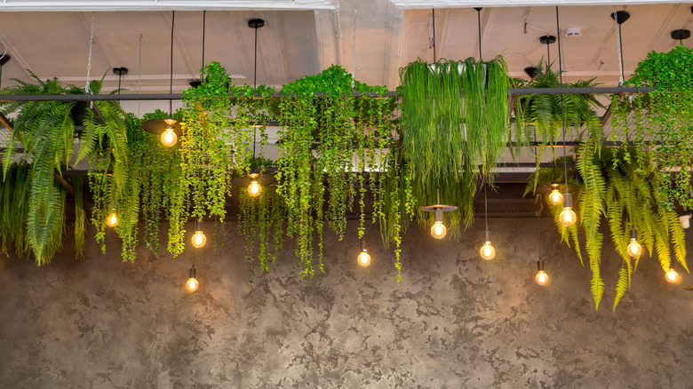 pendant light fixtures with greenery