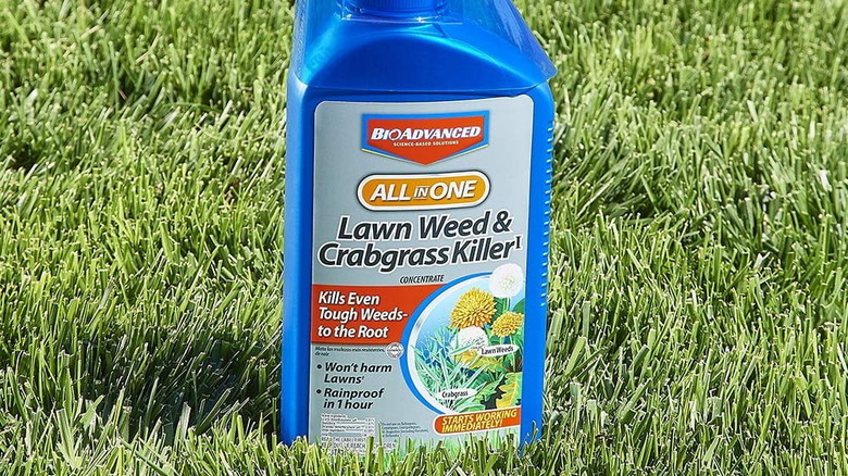 A blue bottle of BioAdvanced All-in-One Lawn Weed & Crabgrass Killer against a green lawn