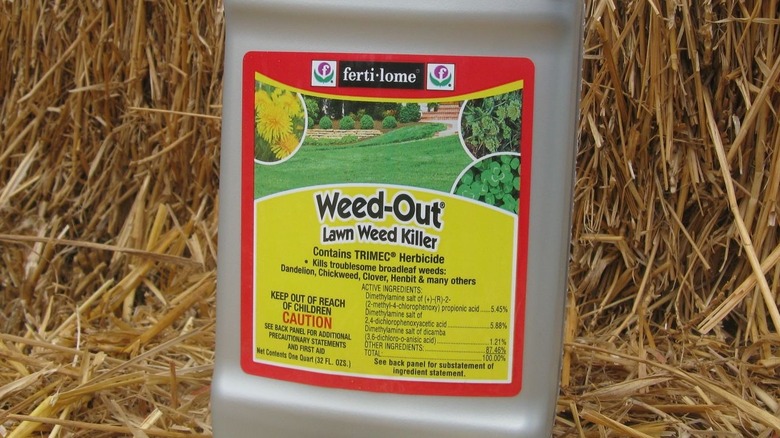 Ferti-Lome Weed Out Lawn Weed Killer against a bail of hay