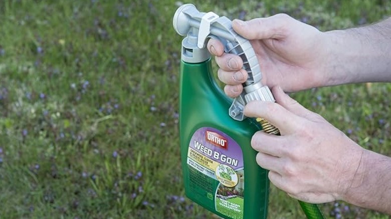 Hands holding Ortho Weed B Gon Chickweed, Clover & Oxalis Killer against a backdrop of lawn