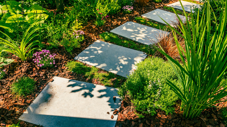 Garden path with native plants, mulch, and stone pathway