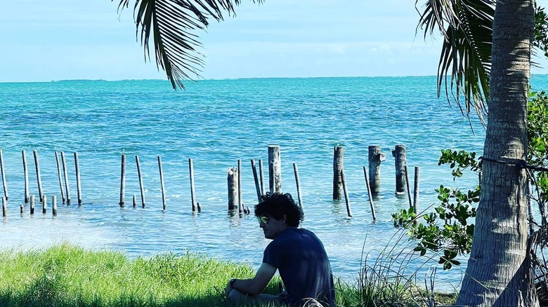 Person sitting on island shore